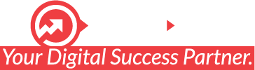 DigiXess logo